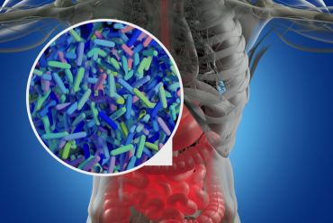 Mikrobiyota / Mikrobiyom Nedir?